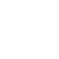 french-bulldog